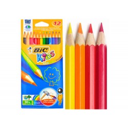 ΞΥΛΟΜΠΟΓΙΕΣ BIC EVOLUTION ΧΟΝΔΡΕΣ ΣΕΤ 12