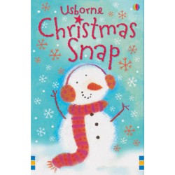 USBORNE ACTIVITY CARDS : CHRISTMAS SNAP